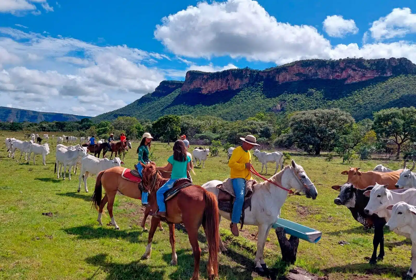 Turismo Rural Pando Secreto de Pujerra: El 'Viejo Castaño', joya del turismo rural